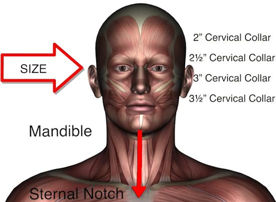 measuring for neck collar