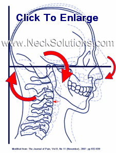 details of neck exercise motion