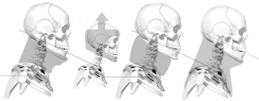 Neck support deals for studying