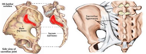 sacroiliac joints