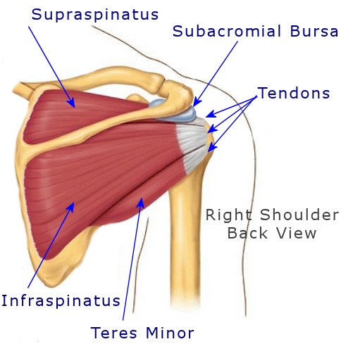 shoulder strain