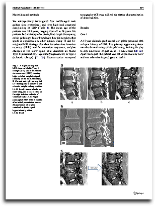 modic changes disease