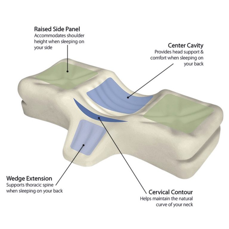 Neck Pillows Ergonomics For Better Sleep & Less Pain