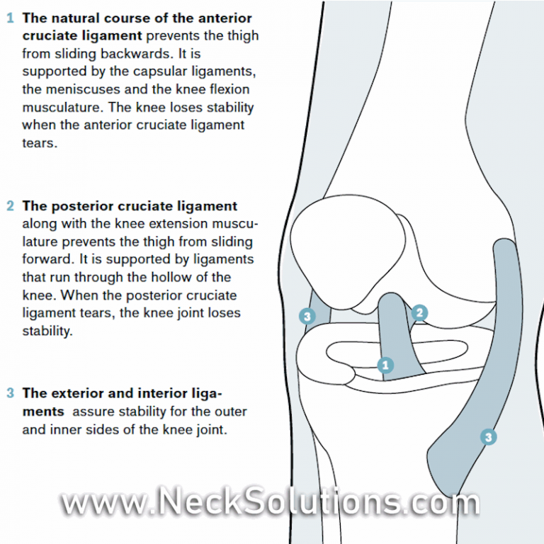 Ligament Knee Brace Custom Support For Torn Ligament Rehab