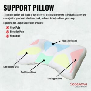Microbead Pillow