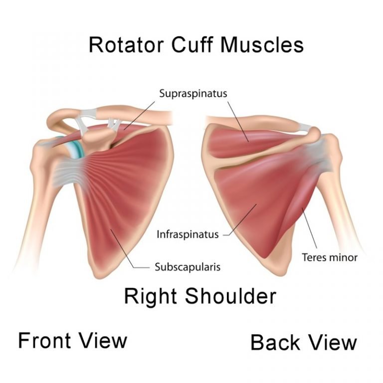 Rotator Cuff Pain Relief Do I Need Surgery For Shoulder Pain?