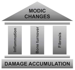 Modic Changes - Spinal Disease Or Normal Finding?