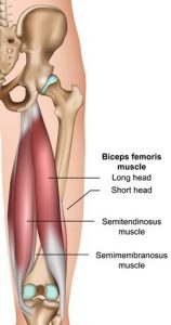 hamstring tightness